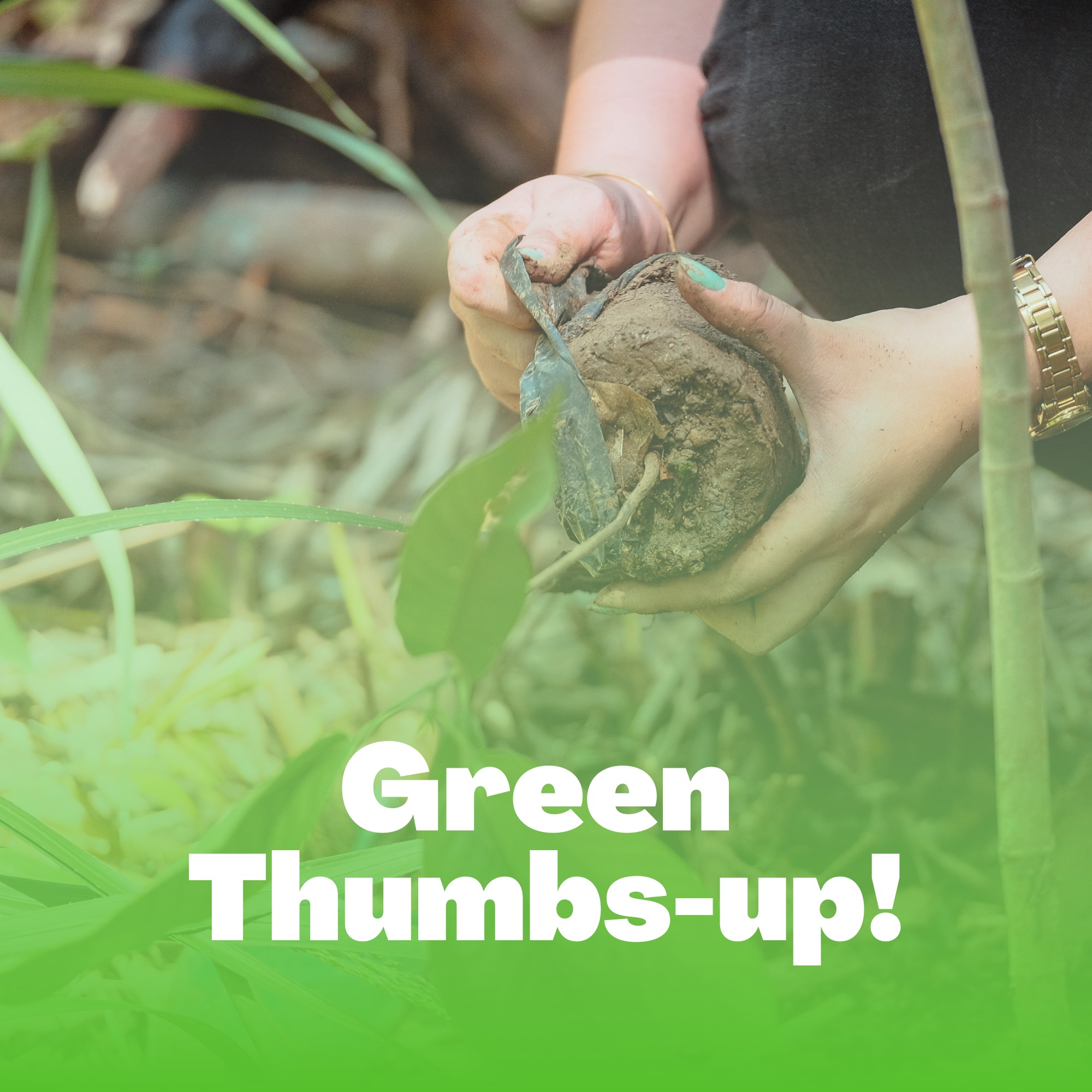 Green Thumbs-Up!