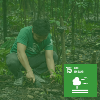 sdg15