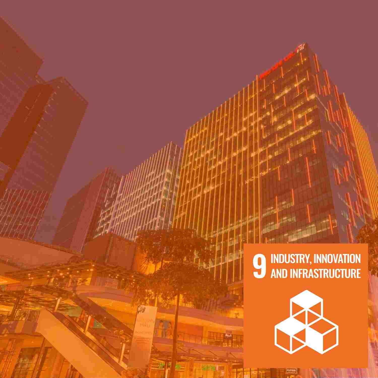 sdg9