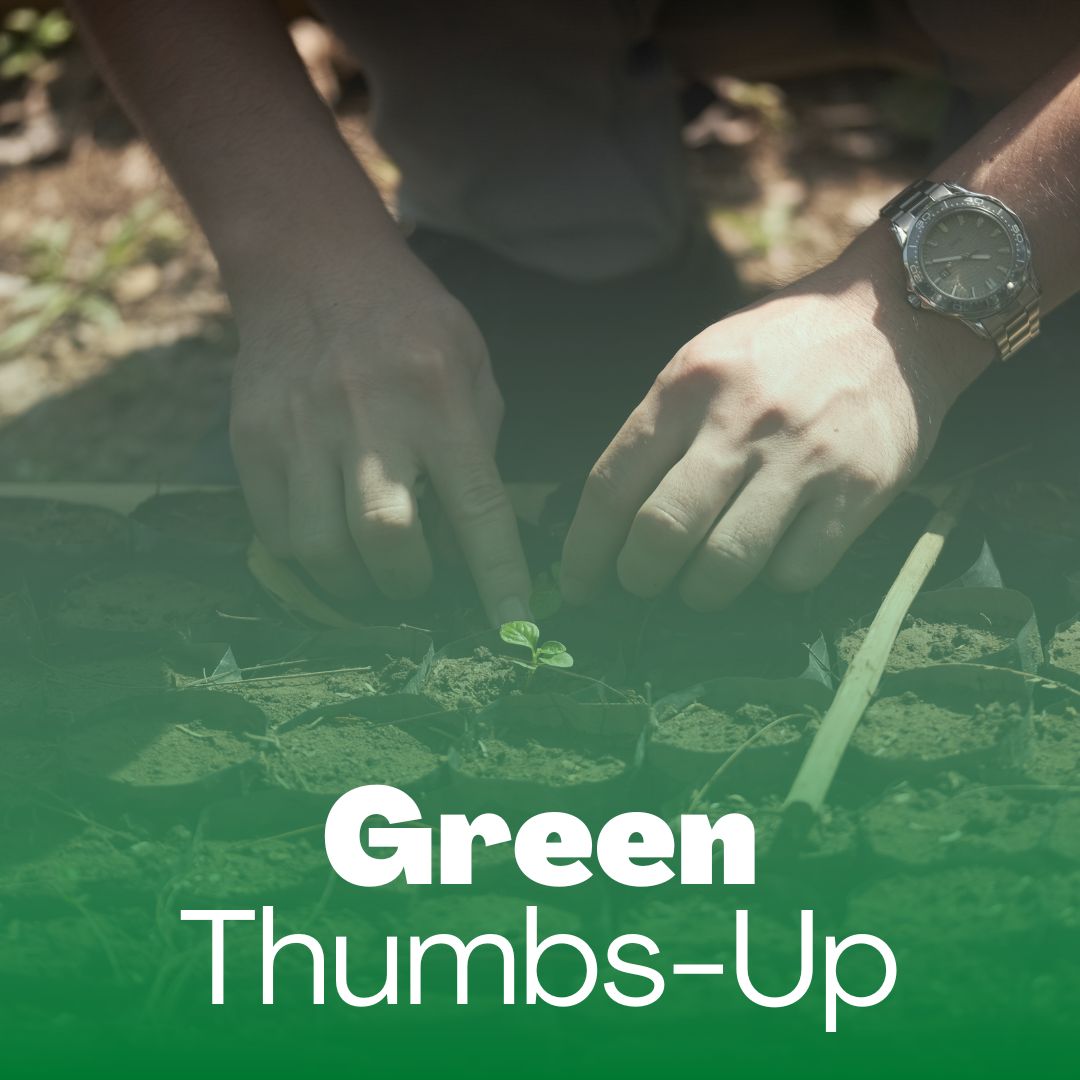 Green Thumbs-Up